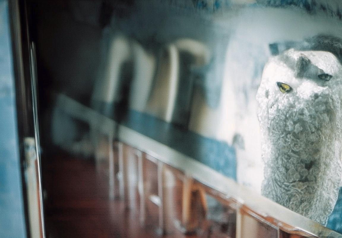 多特蒙德VS拜仁慕尼黑超级杯：巅峰对决回顾与解析(图2)