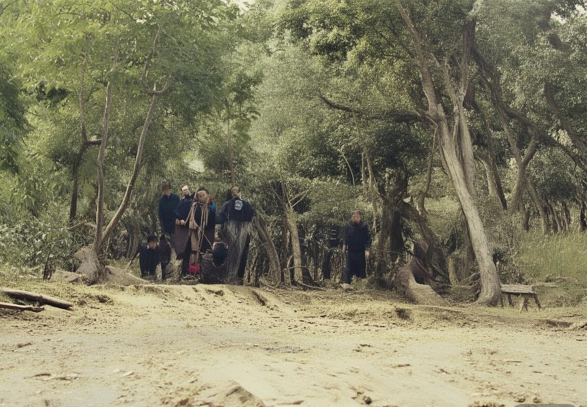 哥斯达黎加VS赛尔维亚：历史交锋与战术对决前瞻(图2)